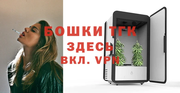 ГАЛЛЮЦИНОГЕННЫЕ ГРИБЫ Новодвинск