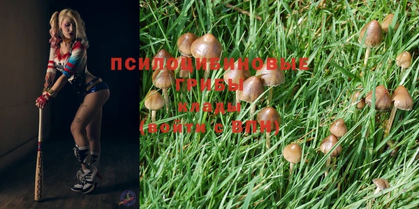 таблы Тында