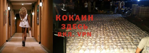 не бодяженный Туринск