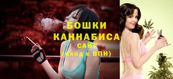 эйфоретик Новозыбков