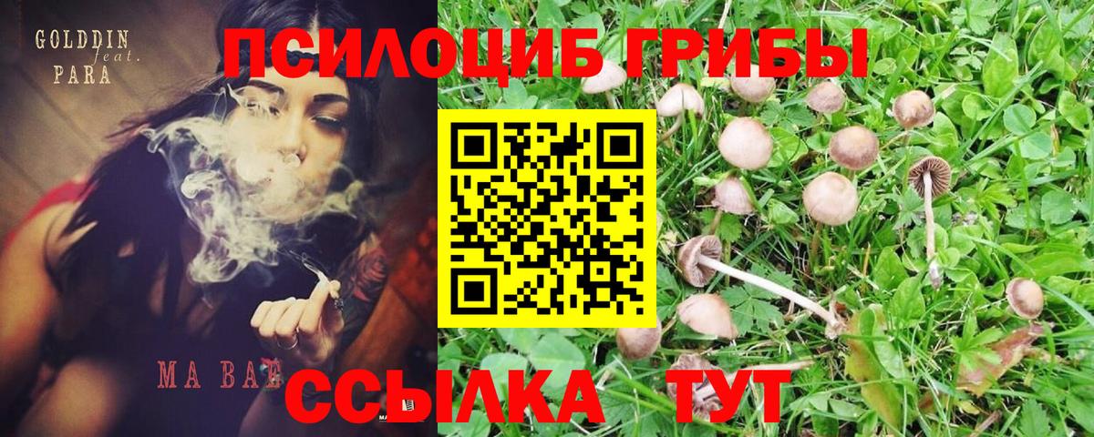 Псилоцибиновые грибы Magic Shrooms  Азнакаево 