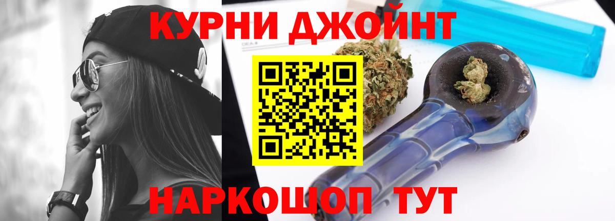 Конопля сатива Азнакаево